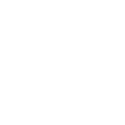 the image is introducing SEO